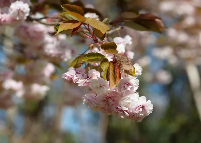 펜션 Luxury Interior Designed 4 Bedroom Villa,